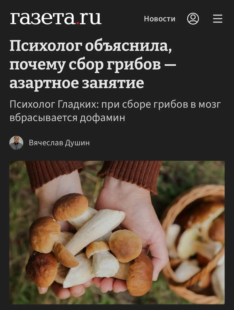 😬 Грибники — настоящие лудоманы, заявили психологи