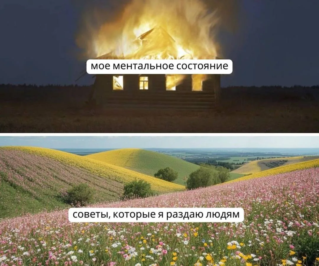 Оформить заказ: https://max.ru/id501810950817_bot
