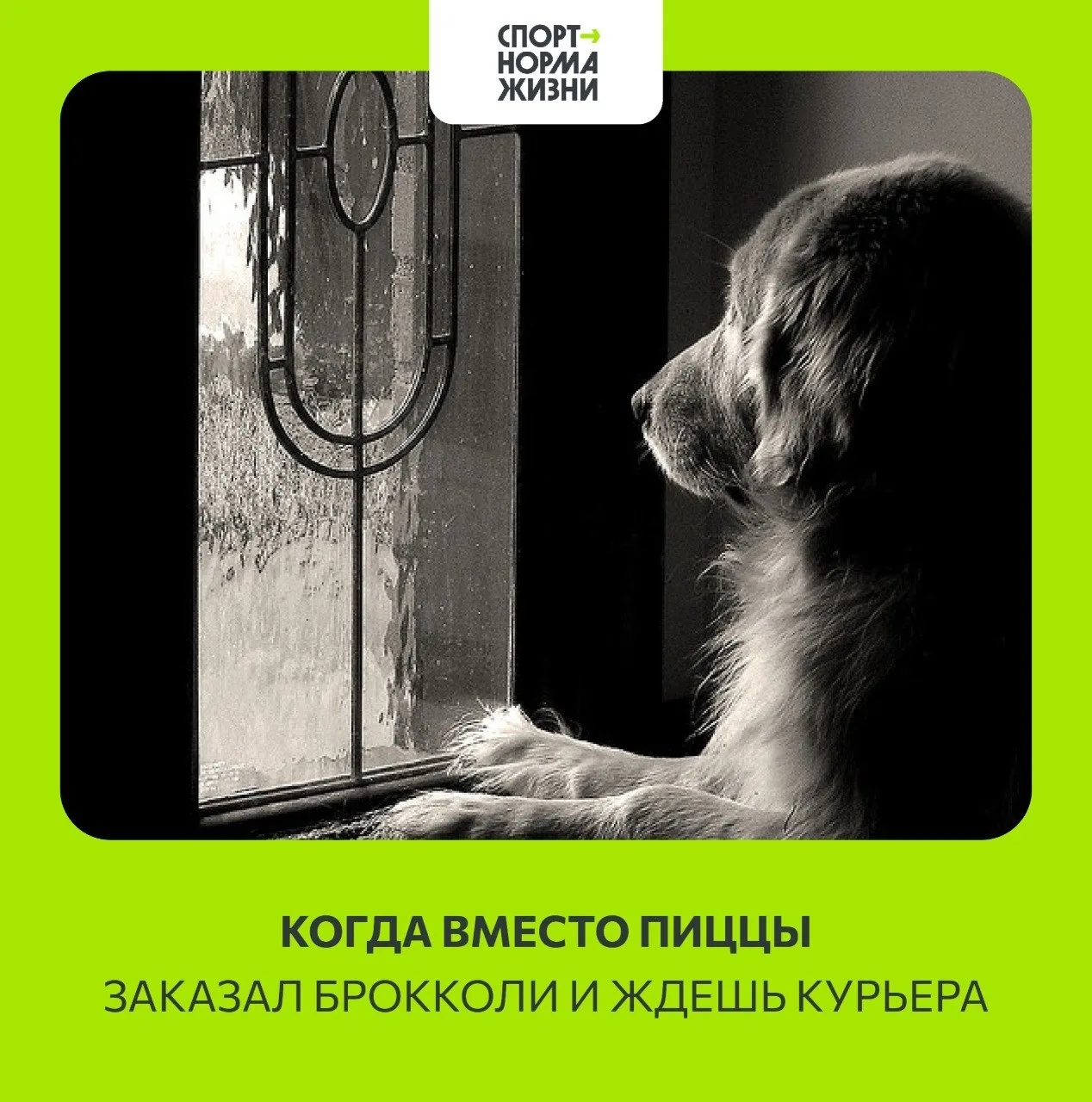 Сегодня последний день лета встречаем его с хорошим настроением! Готовимся к осени 🍁