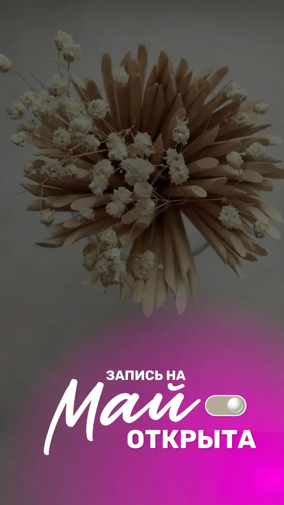 Дорогие гости нашего