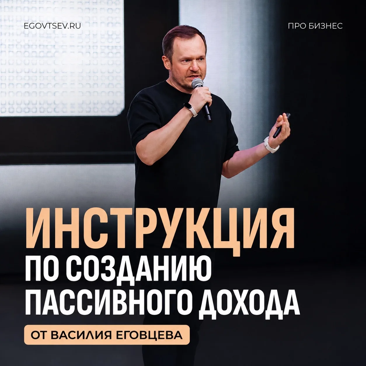 Инструкция по созданию пассивного дохода от Василия Еговцева