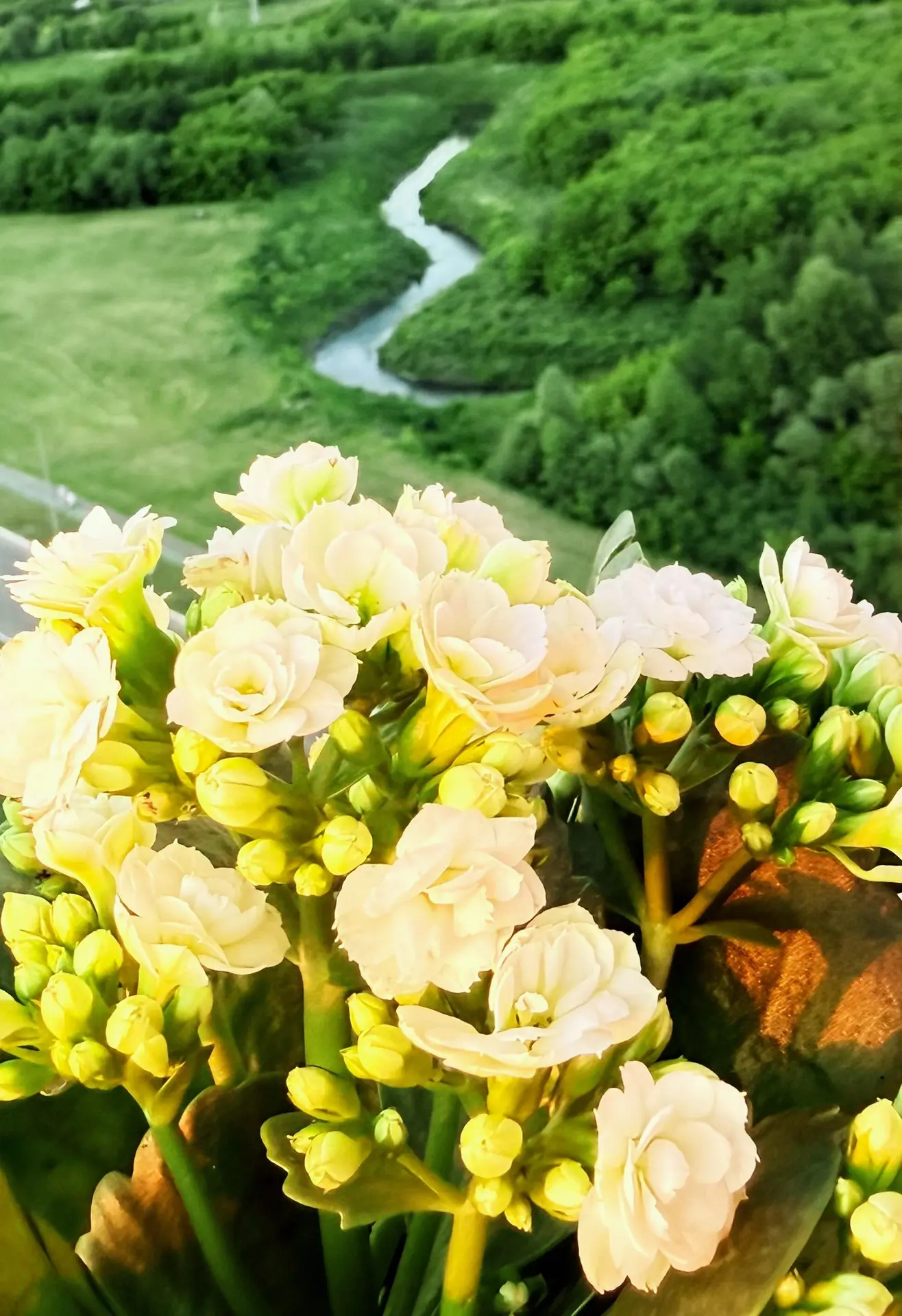 Мир становится лучше, когда мы просто смотрим на него с любовью. 😍