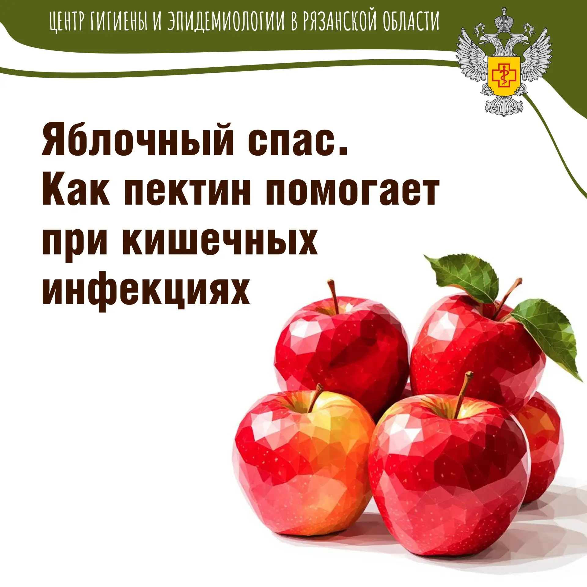 Пектин, содержащийся в яблоках (особенно много его в кожуре и семенных коробочках), – э...