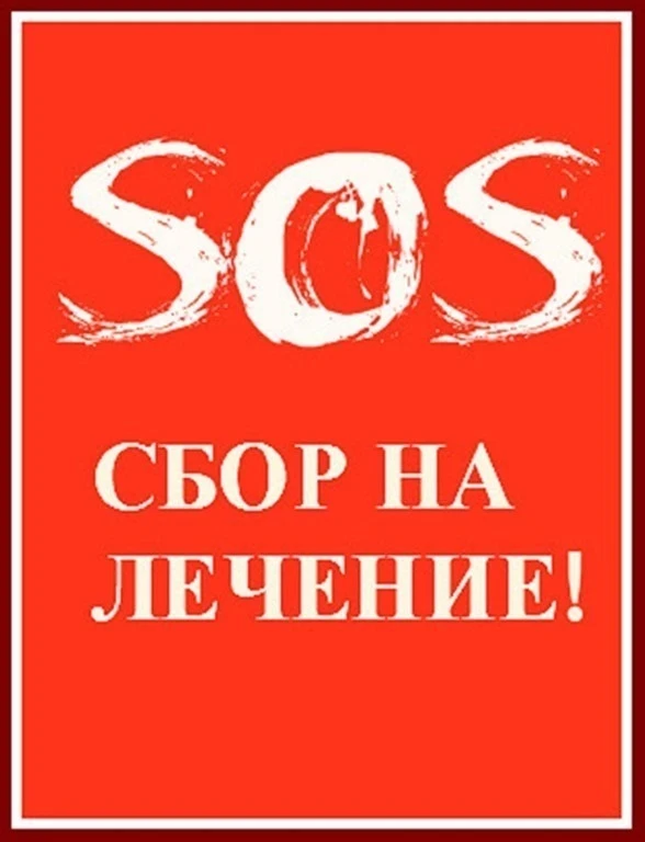 Друзья, наши возрастные котики продолжают подкидывать сюрпризы. Сегодня стало плохо Сед...