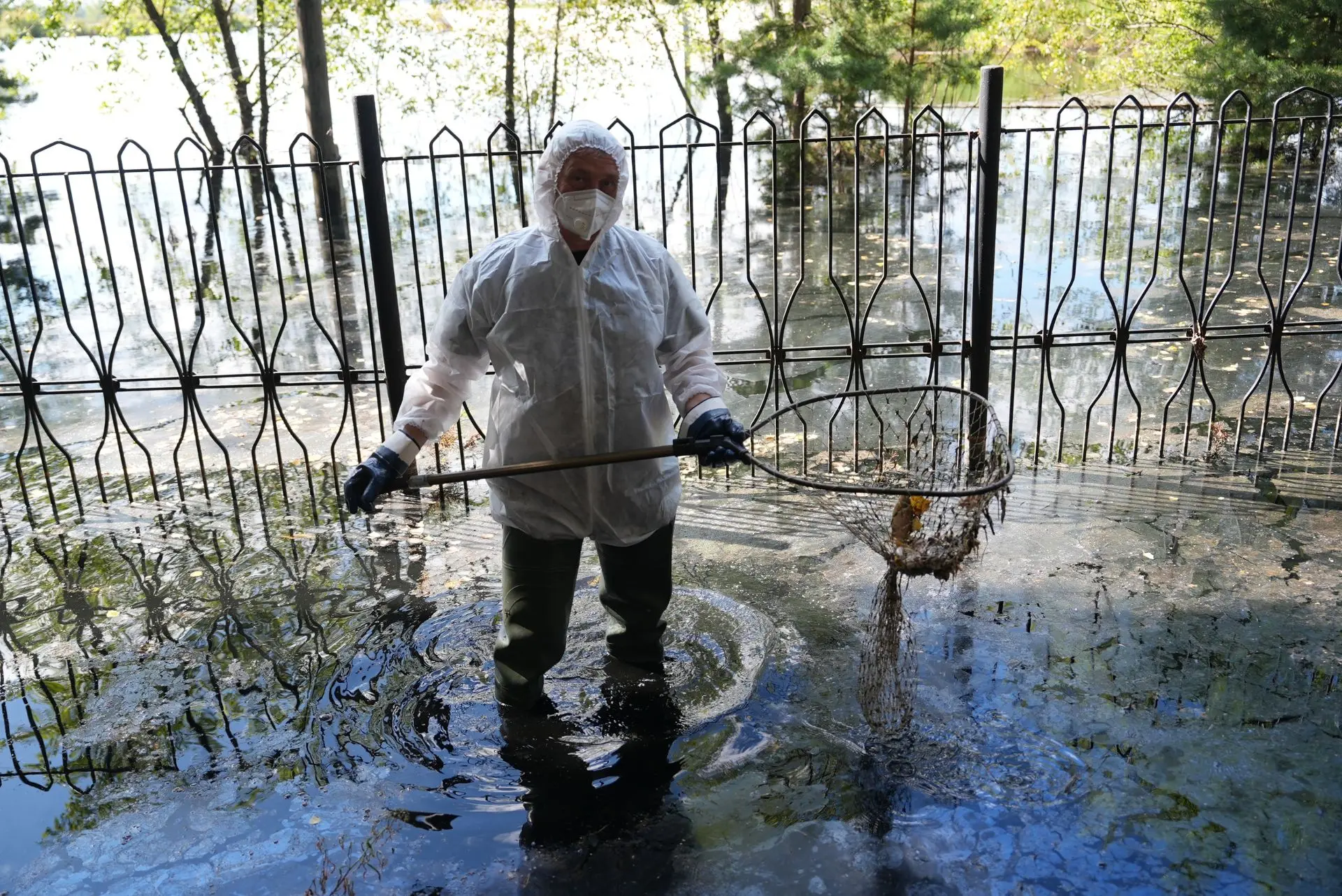На территории Гагаринского парка и городского пляжа собрано около тонны мертвой рыбы