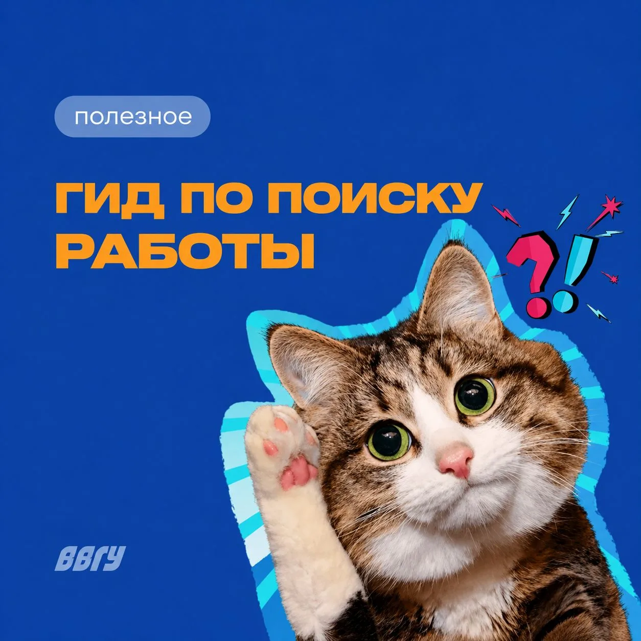 🎓 Нет опыта - нет шансов на работу? Не совсем!