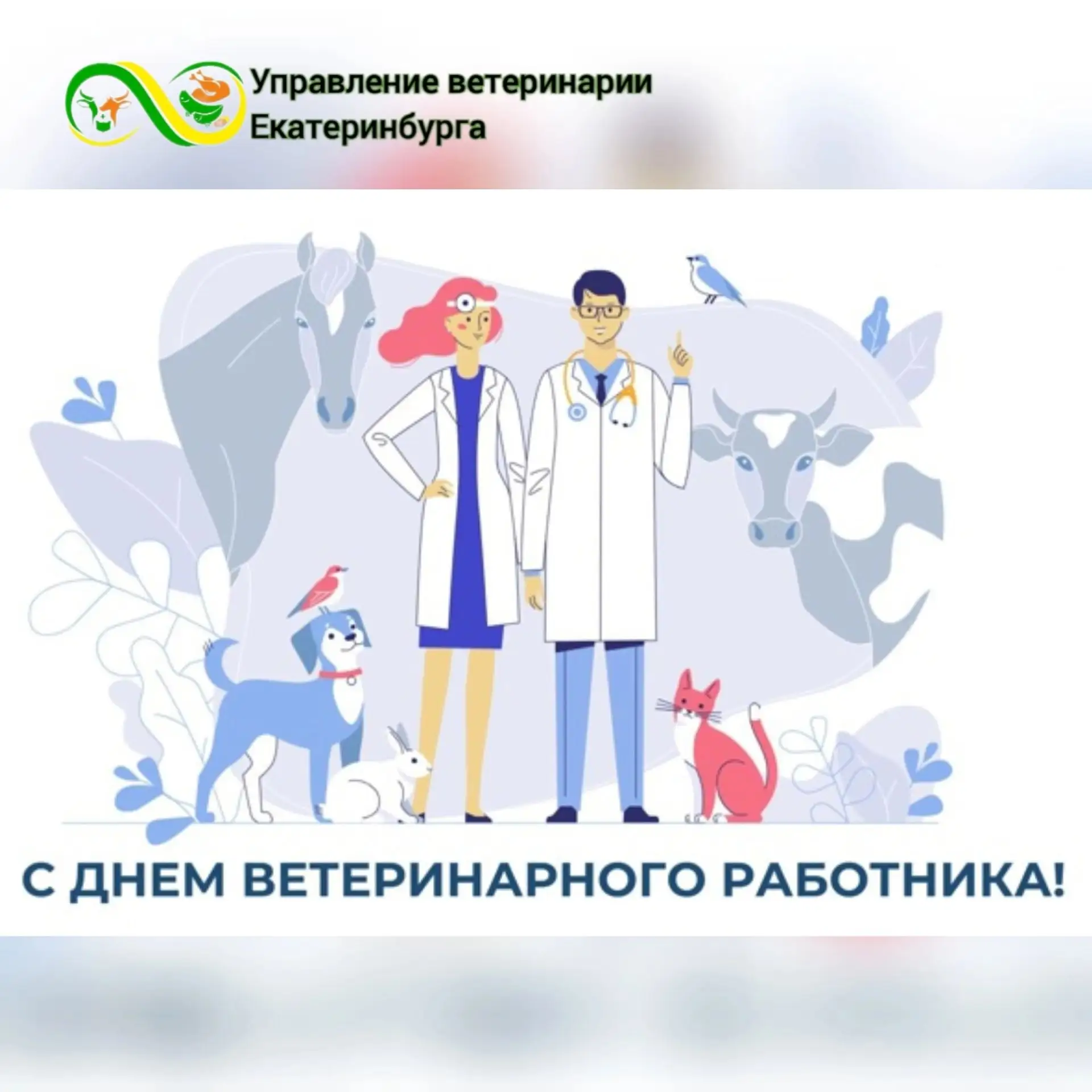 Уважаемые коллеги! Дорогие друзья!