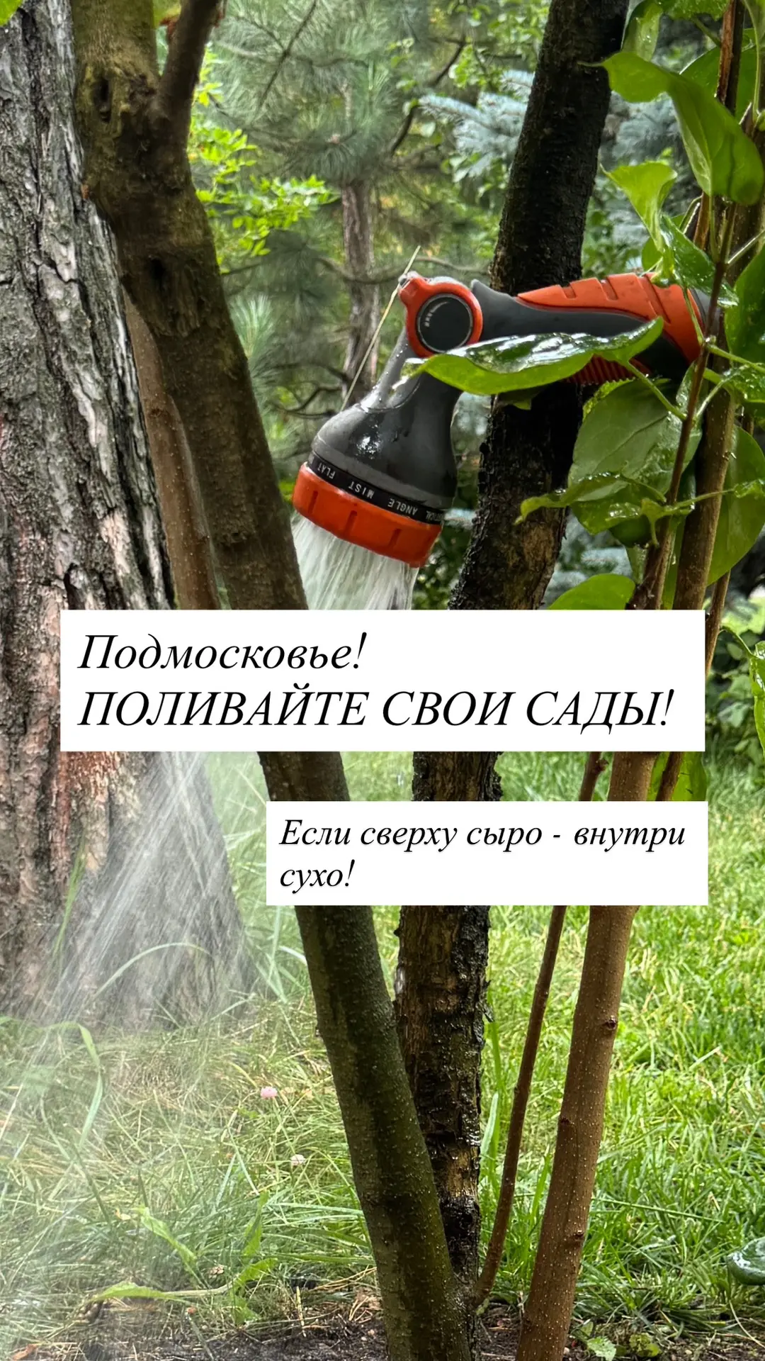 Поливаем свои сады!