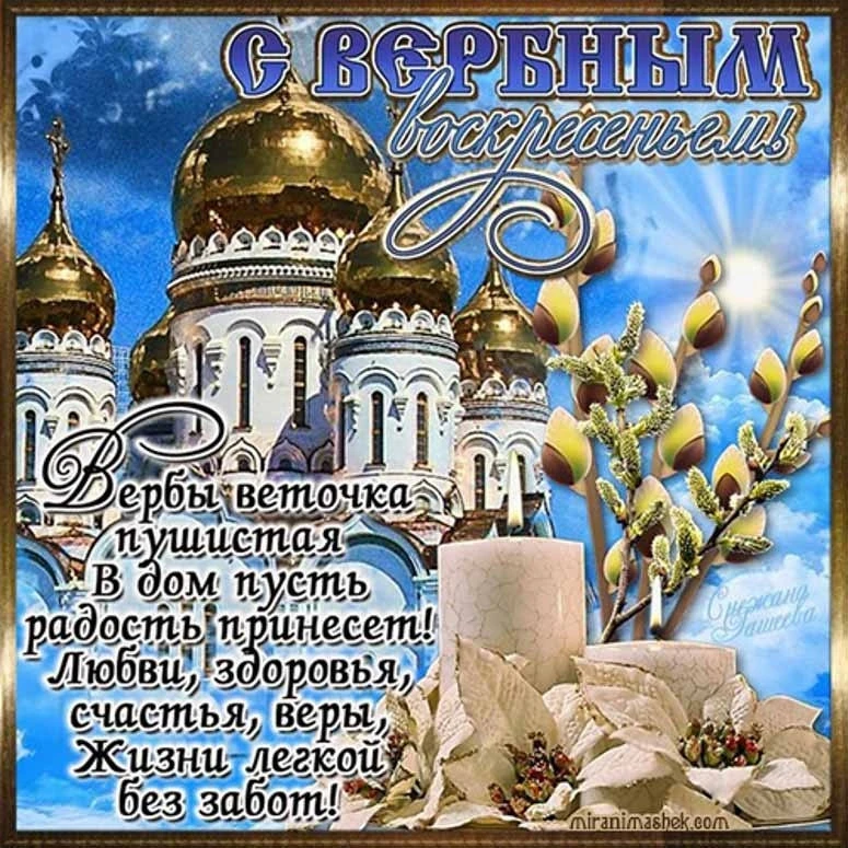 Поздравляю всех православных жителей Новоселицкого округа с радостным праздником — Верб...