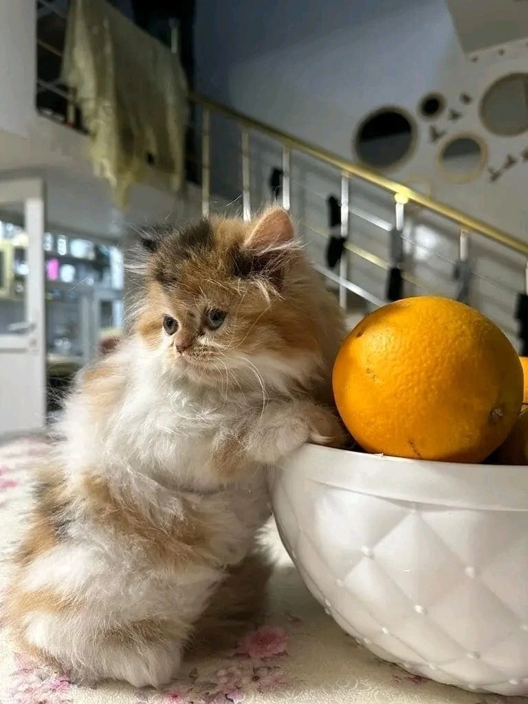 ❤️❤️❤️