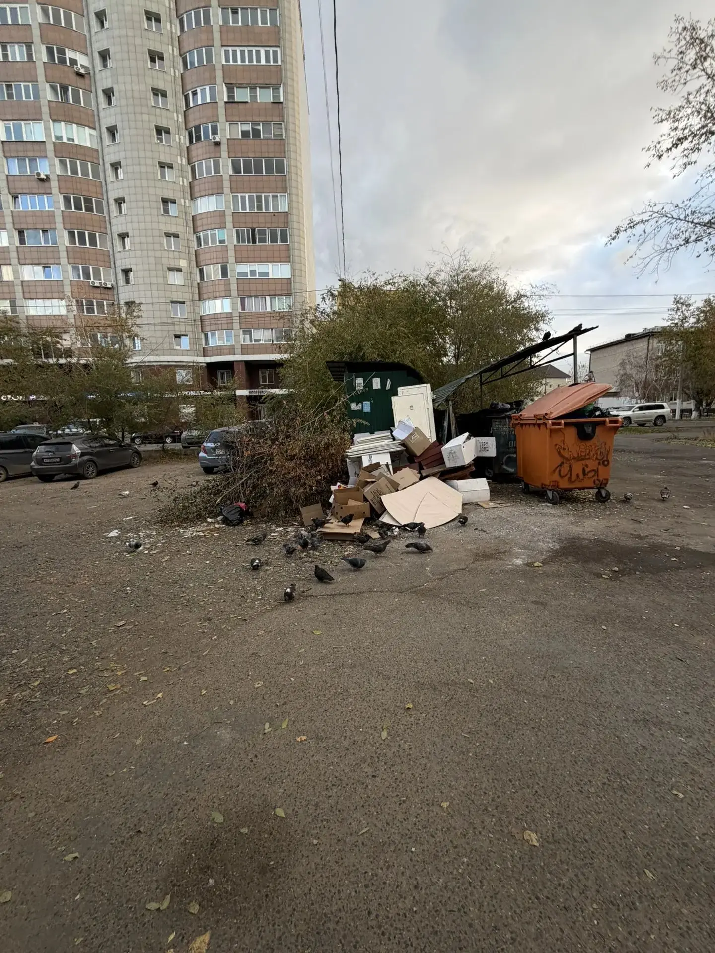 #эконадзор
