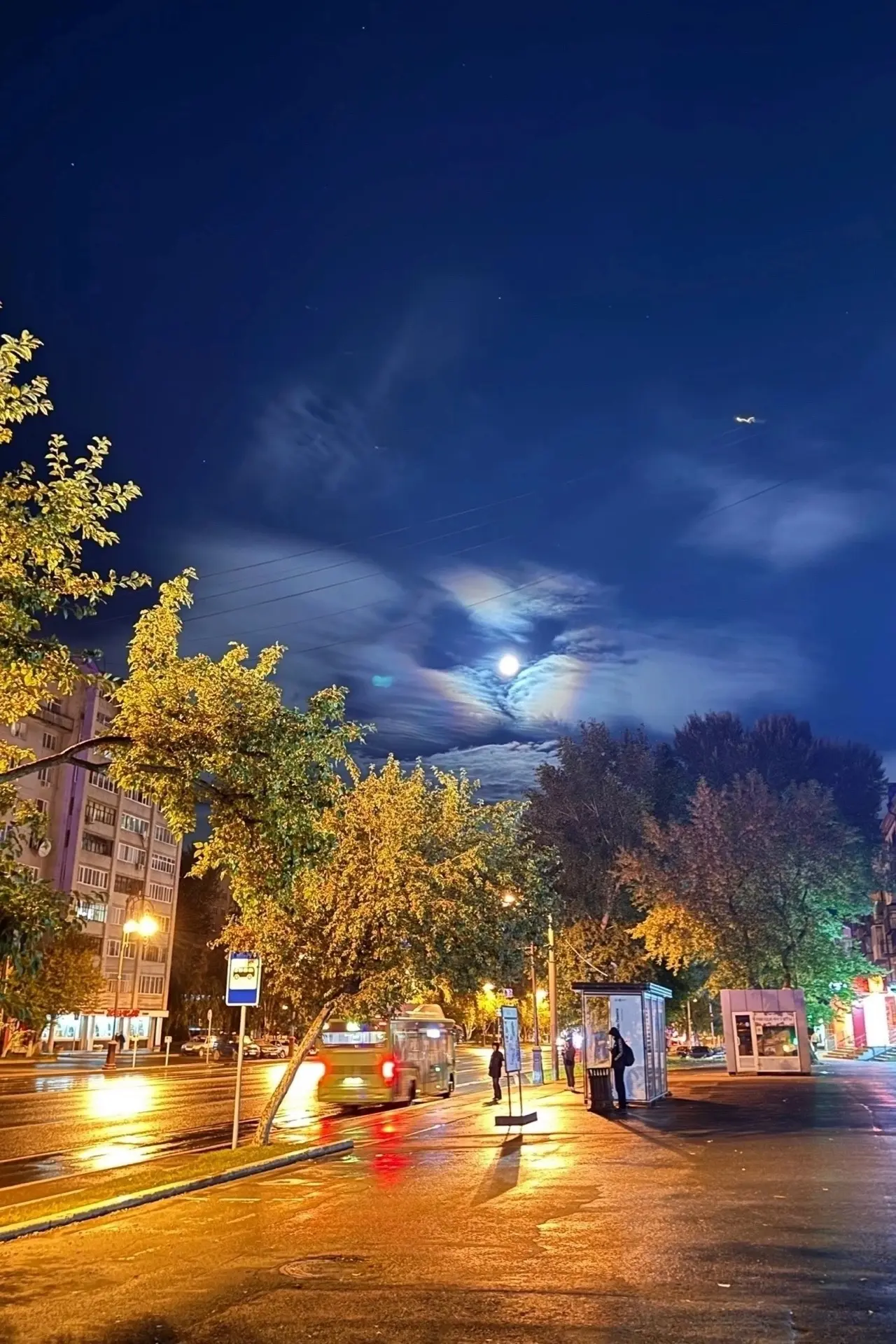 Лунное гало наблюдали ночью над Тюменью