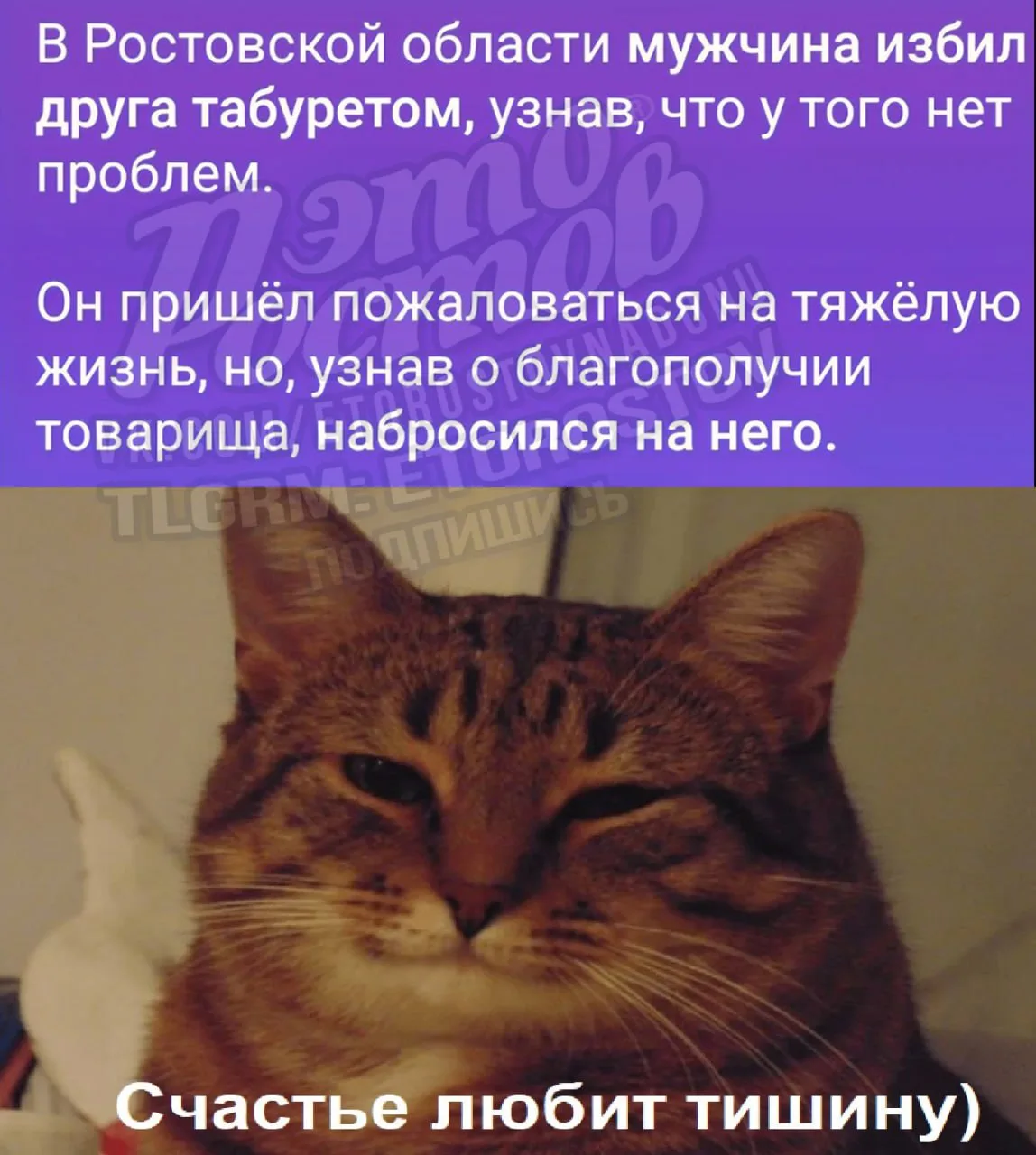 📹 3 года назад, в ночь с 23 на 24 июня, формирования «Вагнера» вошли в Ростов-на-Дону....