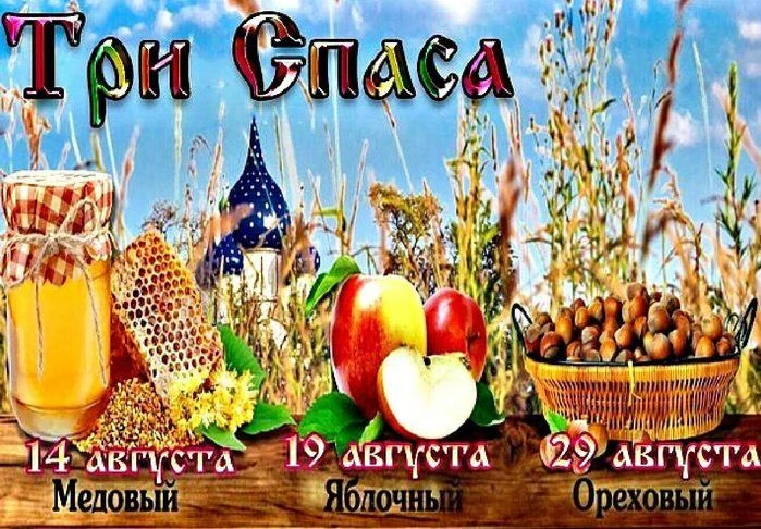 Август — самый щедрый месяц в году. Он словно накрывает богатый стол: душистый мёд, рум...