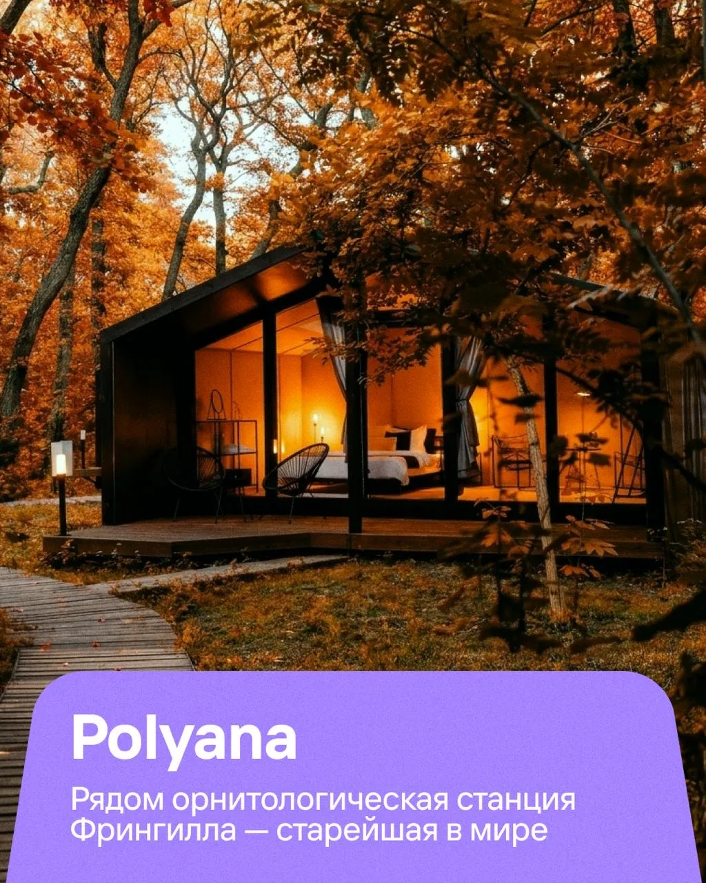 Изображение 4 к публикации «Туту»