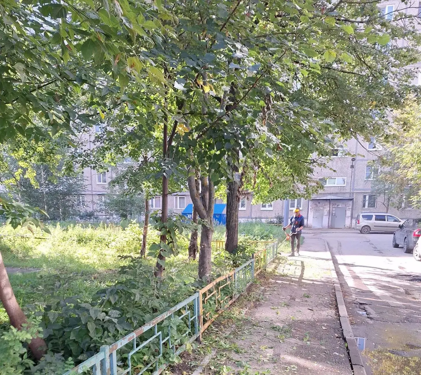 🌿 Лето заканчивается — работа продолжается!👍