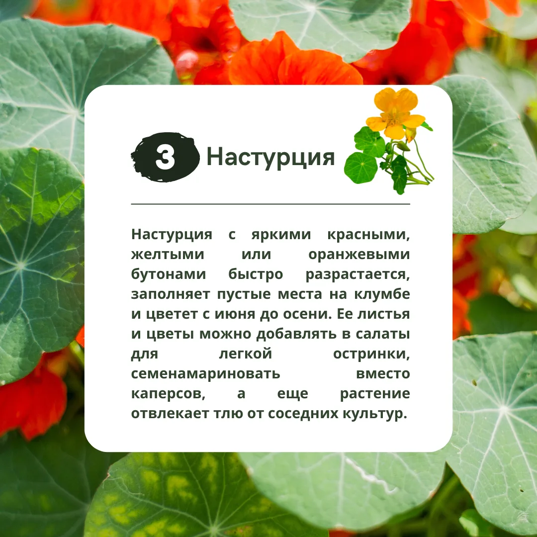 Изображение 4 к публикации «Идеи Вашего Дома»
