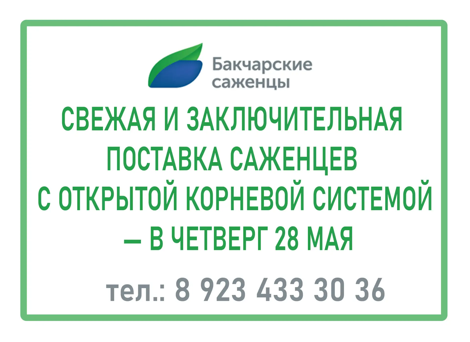 🌿 СВЕЖАЯ И ЗАКЛЮЧИТЕЛЬНАЯ ПОСТАВКА САЖЕНЦЕВ С ОТКРЫТОЙ КОРНЕВОЙ СИСТЕМОЙ — В ЧЕТВЕРГ 28 МАЯ!

Приве