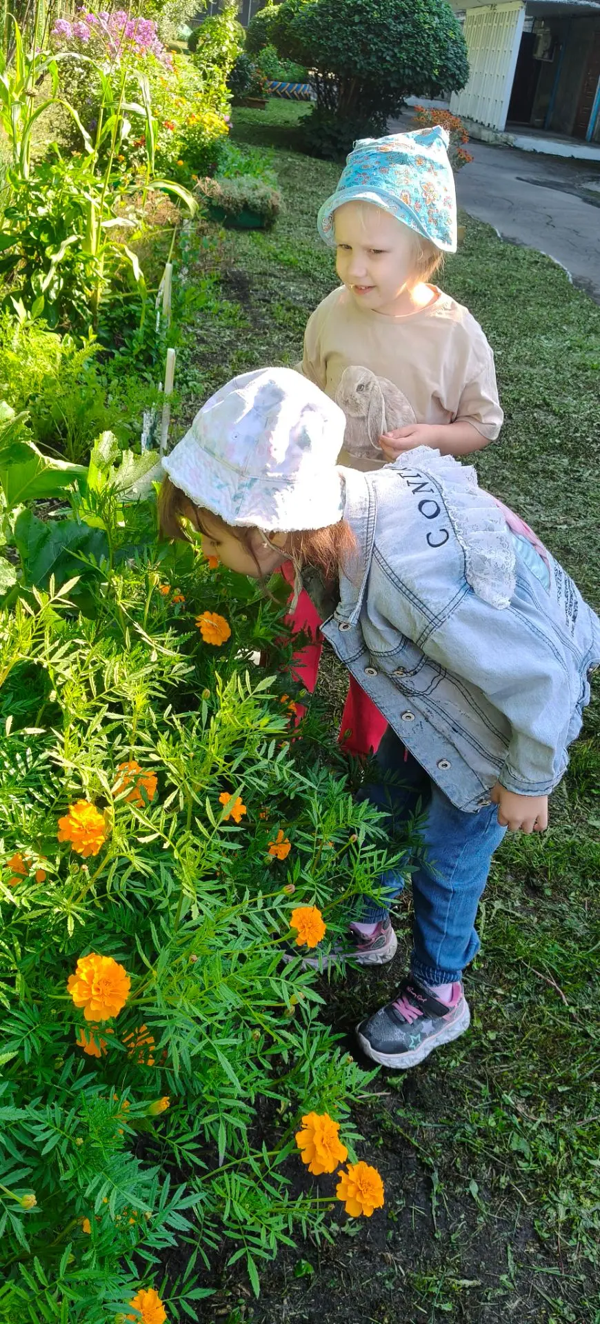 🌻Наши юные огородники подвели итоги летнего труда.