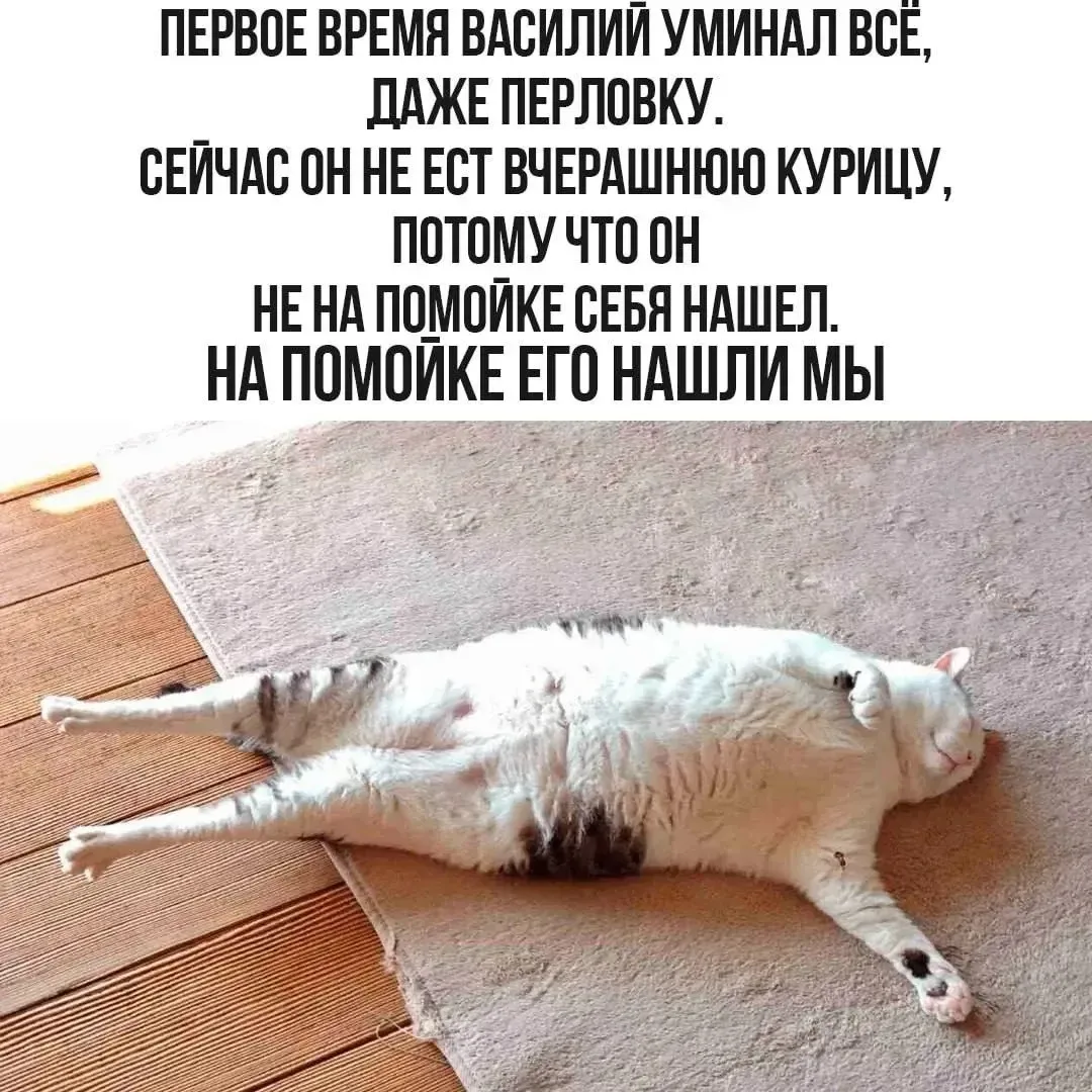 👉 Подписаться