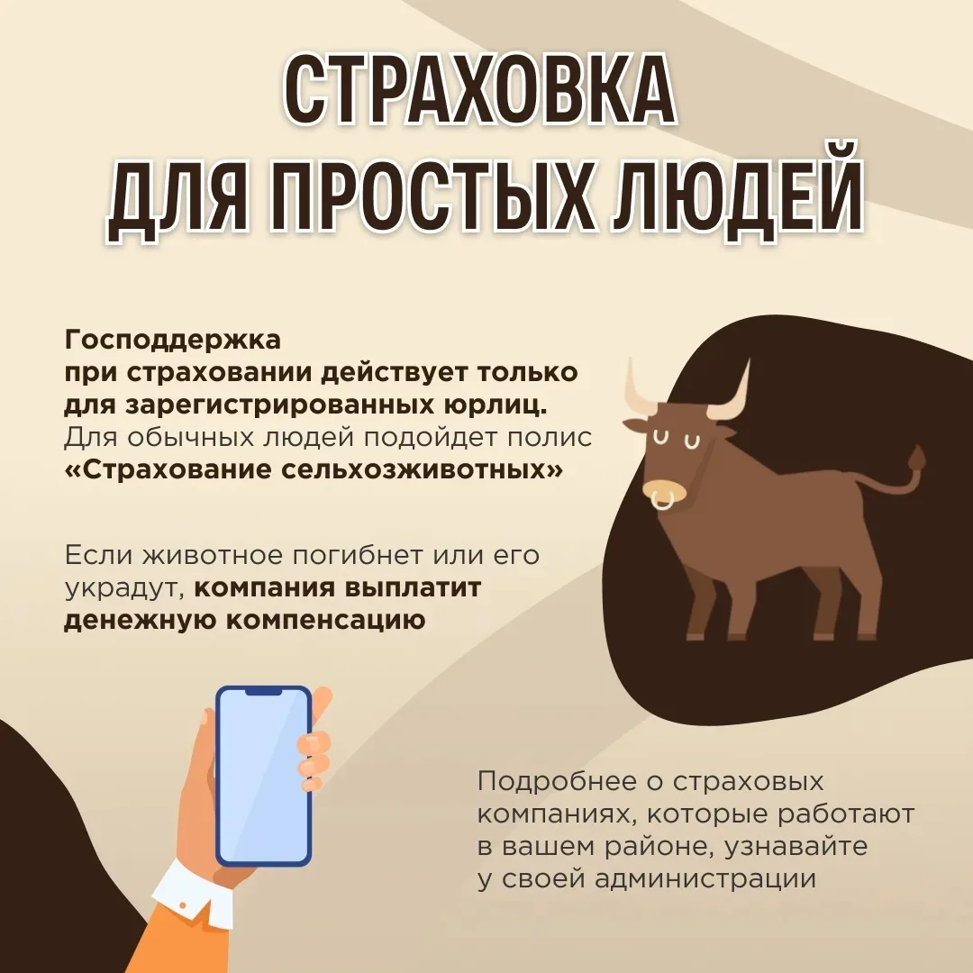 Домашние животные болеют также, как и люди. Важно своевременно делать им прививки, чтоб...