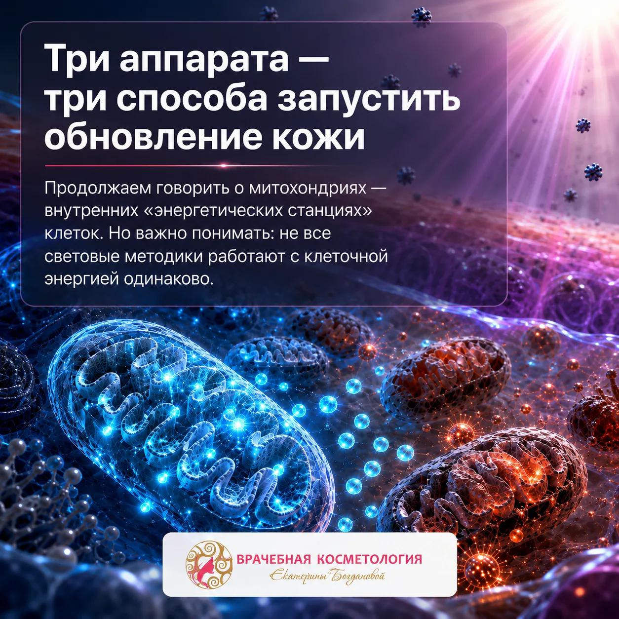 Продолжим говорить про митохондриальное здоровье клеток.