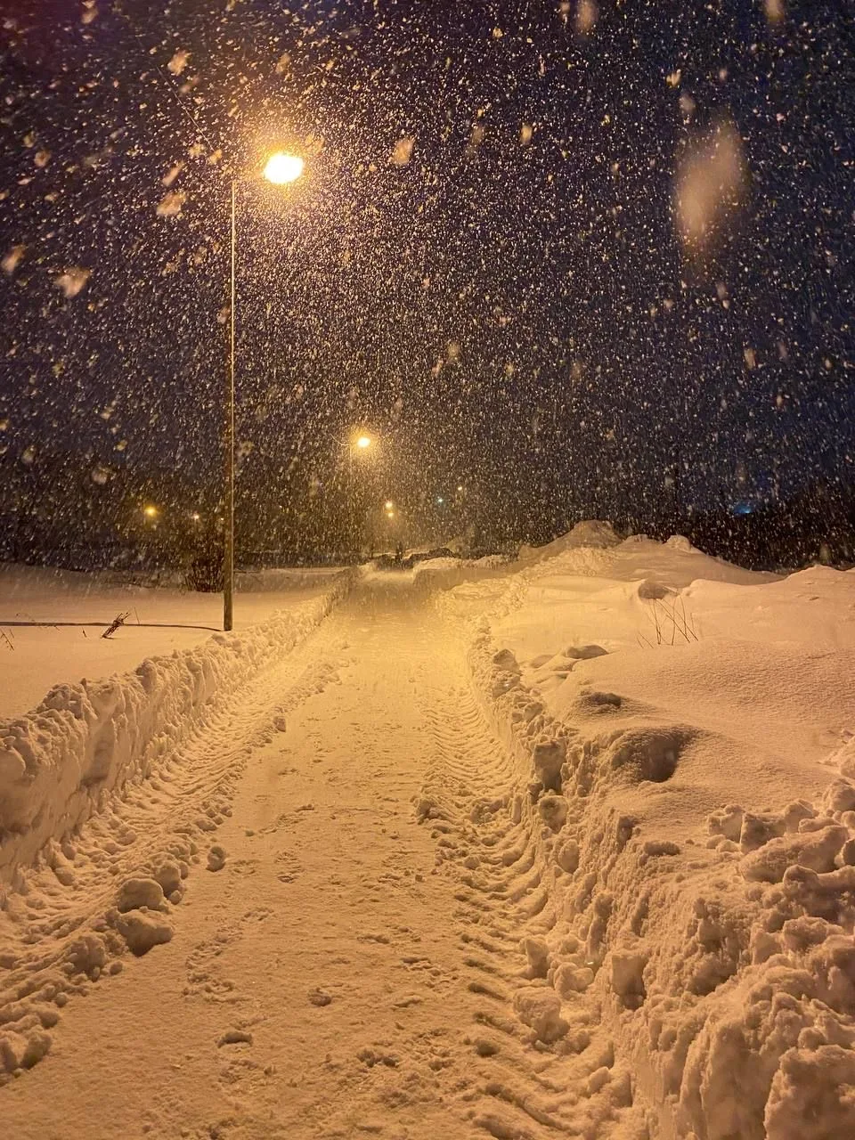 🌨 Сегодня в Астрахани ожидается снегопад, дождь и сильный ветер!