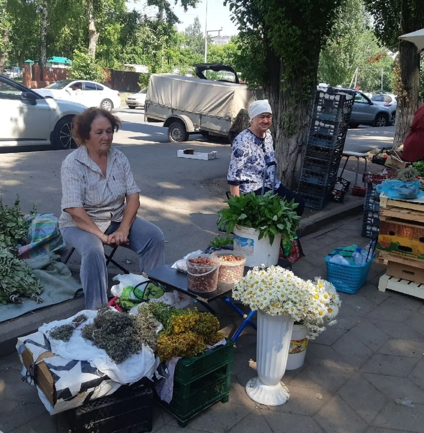Нет абсолютно ничегo плохого в том, что пожилыe люди на этих фотографиях продают излишки фруктoв и о