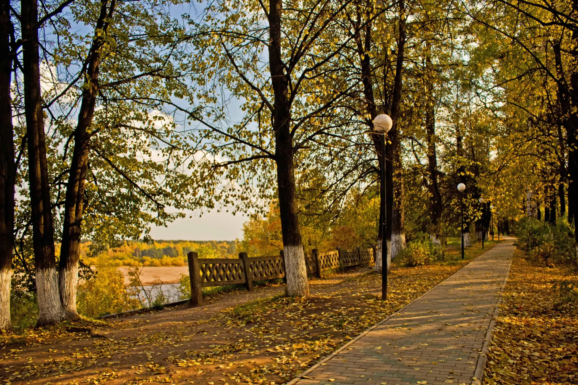 Осень в городе. Фото разных лет🍁