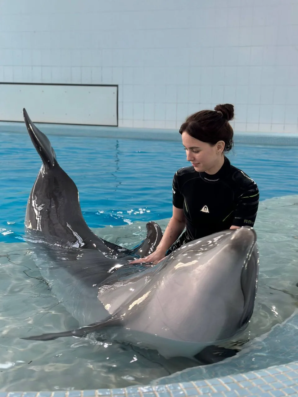 Хотите поплавать с удивительными дельфинами? 🐬  Это можно сделать в Центре плавания с дельфинами 🤗  