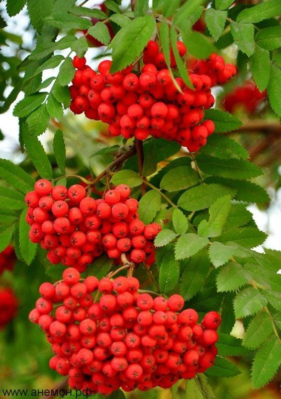 Календарь перевернули, а там… 3 сентября!