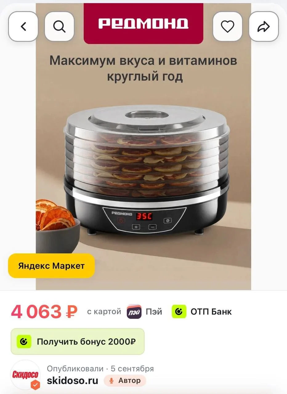 🔥Сушилка электрическая Redmond FD1102 для овощей и фруктов, 5 уровней, 8,5 литров, 500...