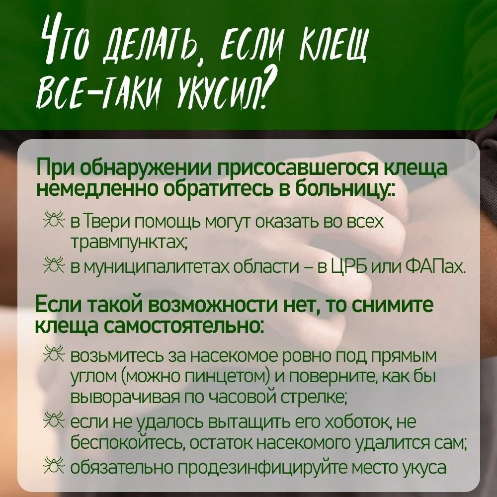 ❗В Тверской области начался сезон активности клещей️ Укус клеща может вызвать не только покраснение 