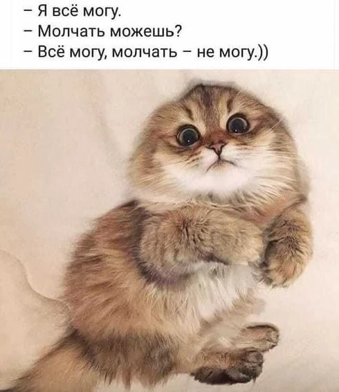 Женское настроение💃