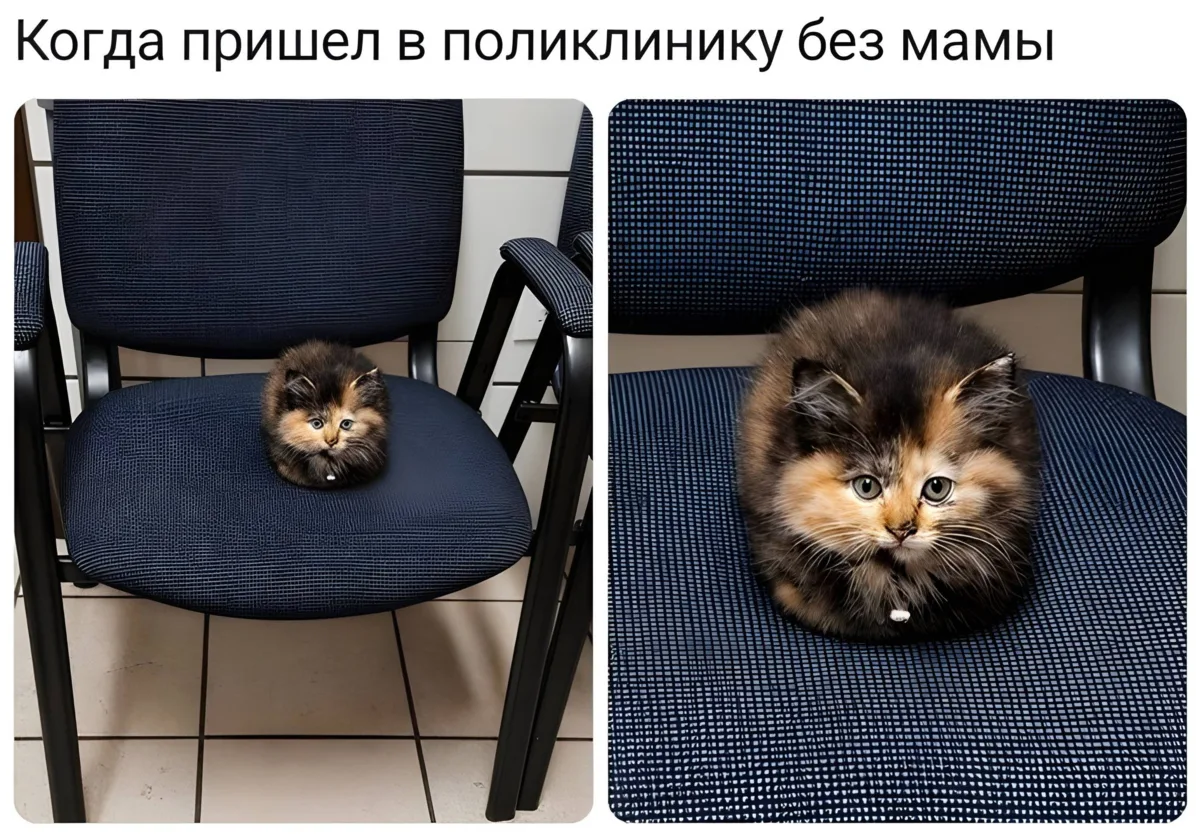 Всё сам