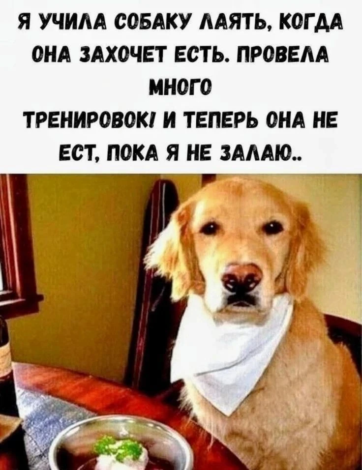 Дядя Стёба