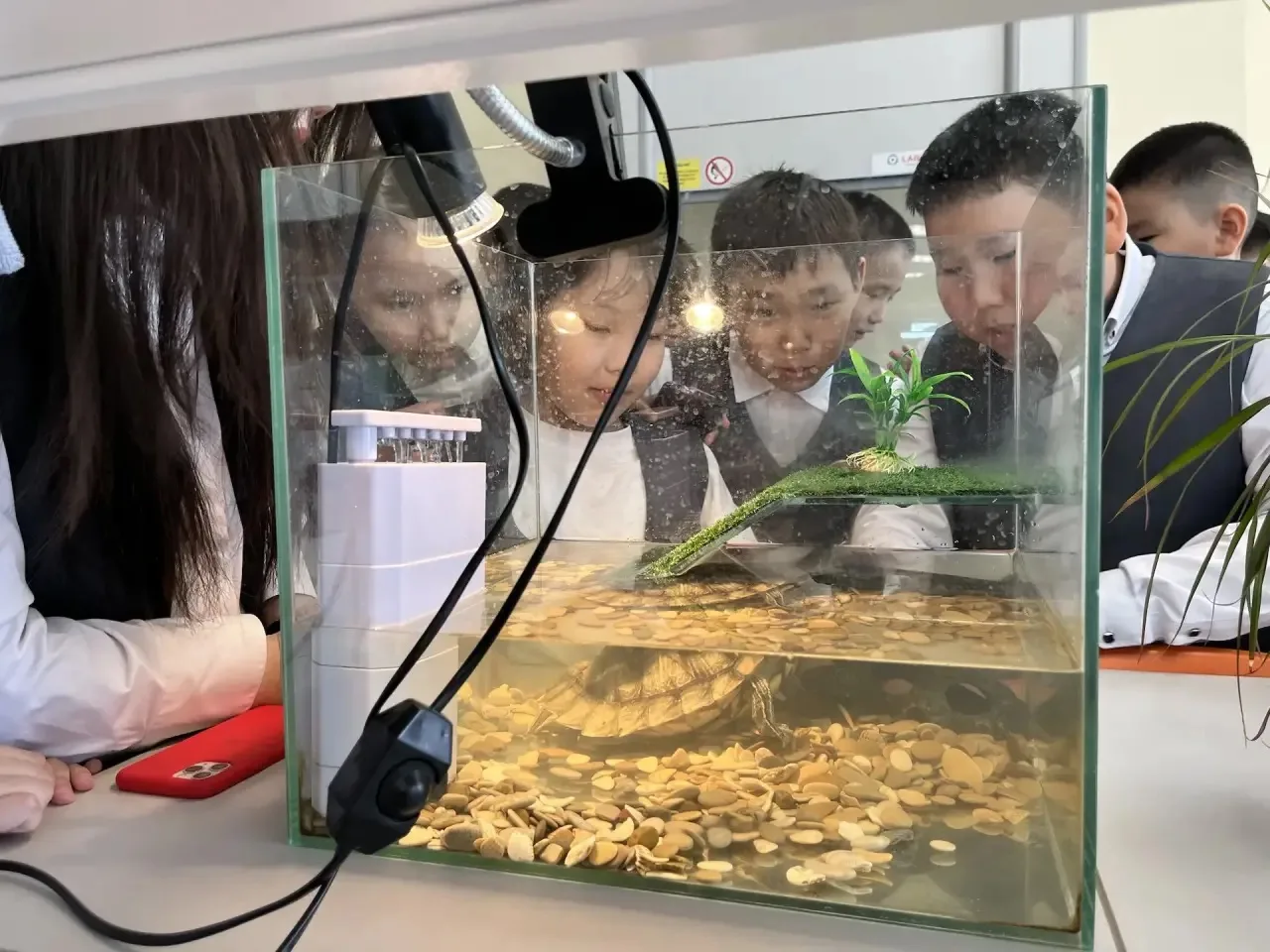 🐢 Сюрприз от родителей в СОШ №40! 🎁  Наш родительский комитет во главе с председателем Скрыбыкиной Е