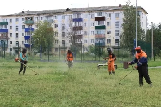 Прекращение покоса травы во дворах Сызрани объяснили покосом более важной травы

Коммунальщики расст