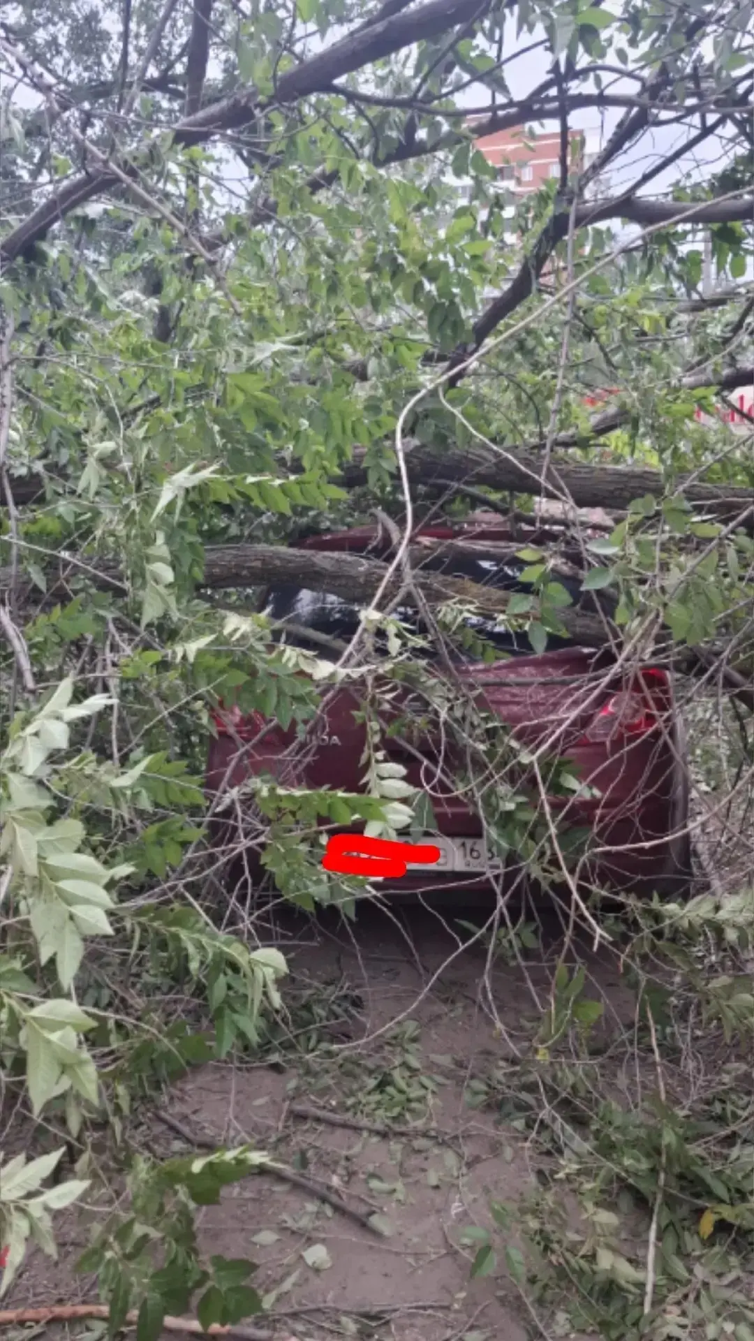 ⚡️Гроза, ливень и град. 

МЧС предупреждает, что погода в Самарской области сегодня вечером и завтра