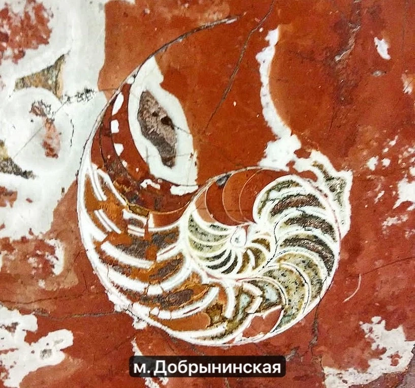 У твоей Москвы и его Невы стало общее что-то...