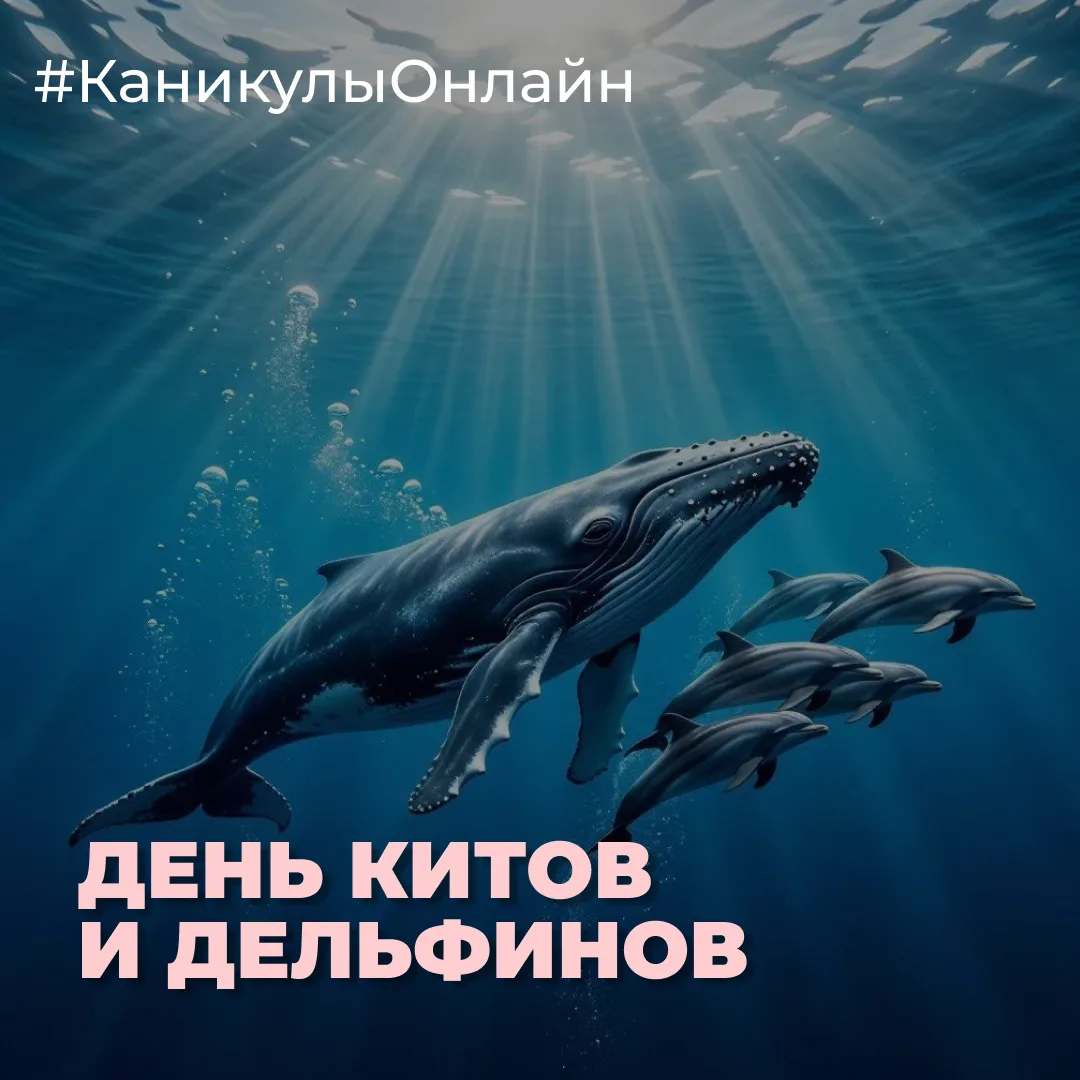 23 июля мы отмечаем Всемирный день китов и дельфинов — праздник, напоминающий о красоте и уязвимости