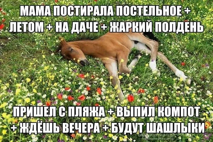 Выходные! 😜
Проведите их классно!