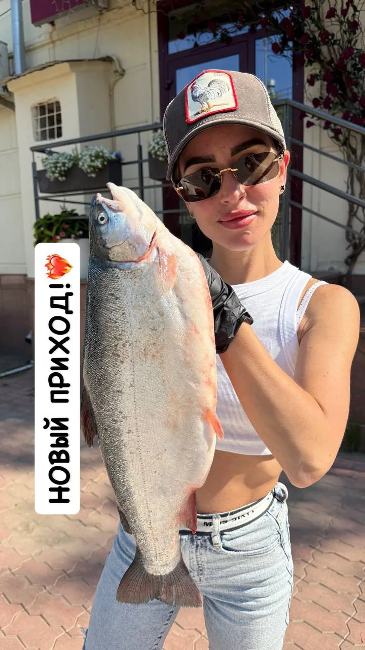 🐟 Морская охлажденная форель в наличии в магазине! 

Долгожданная рыбка с Мурманска 🌊 которая по к