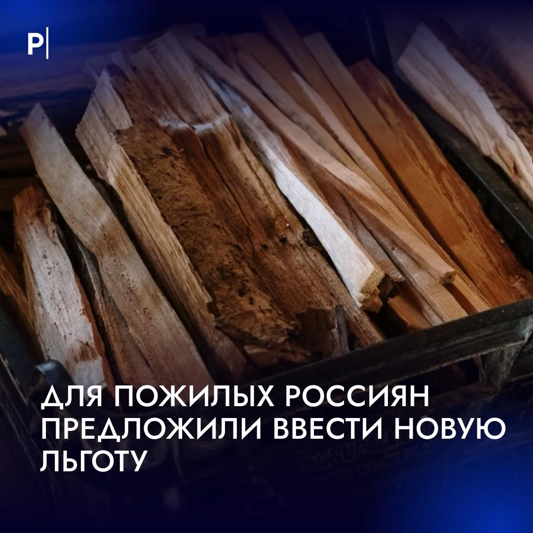 🪵В Госдуме предложили бесплатно выдавать дрова пенсионерам.