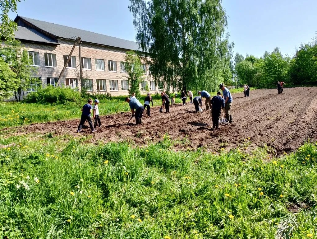 ТРУДОВОЙ ДЕСАНТ.    Сегодня на пришкольном участие прошел трудовой десант по посадке са...