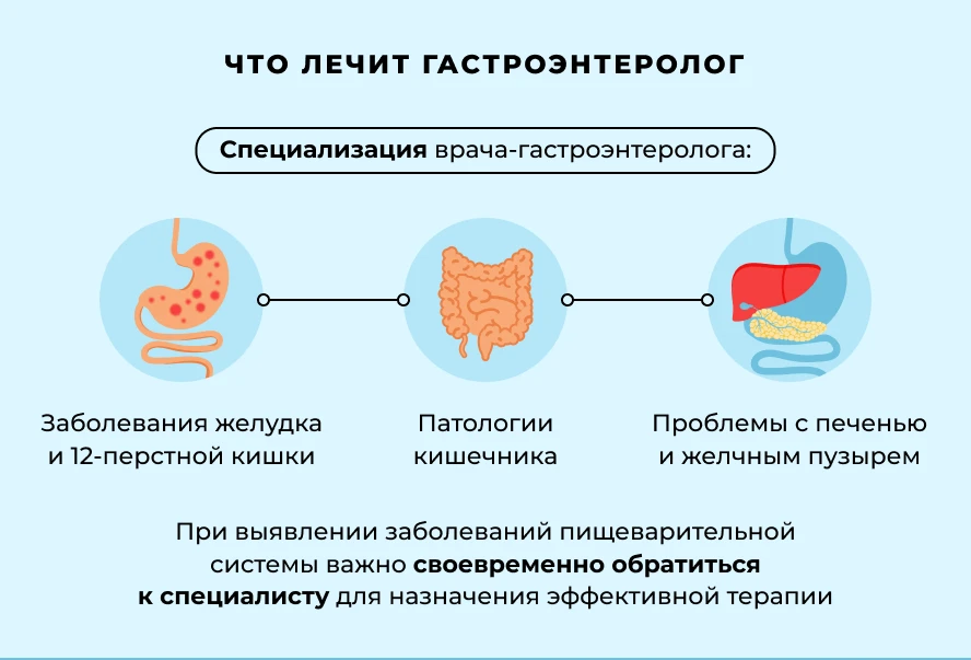 🧑‍⚕Гастроэнтеролог-это специалист, который разбирается в работе всей пищеварительной с...
