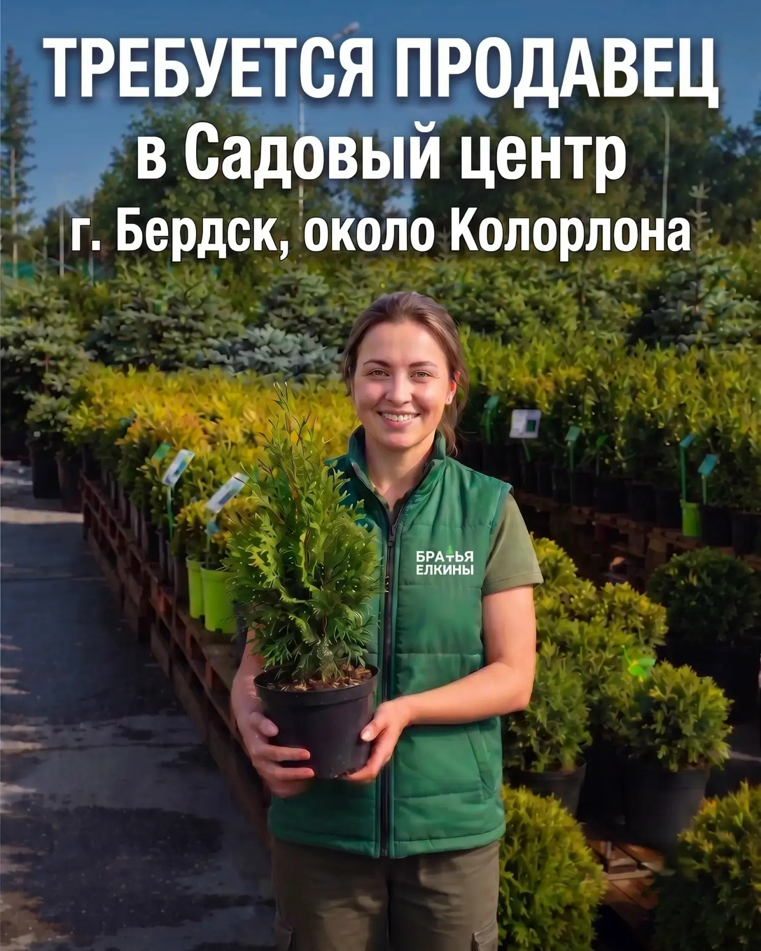 В садовый центр «Братья Ёлкины» требуется продавец-консультант!
