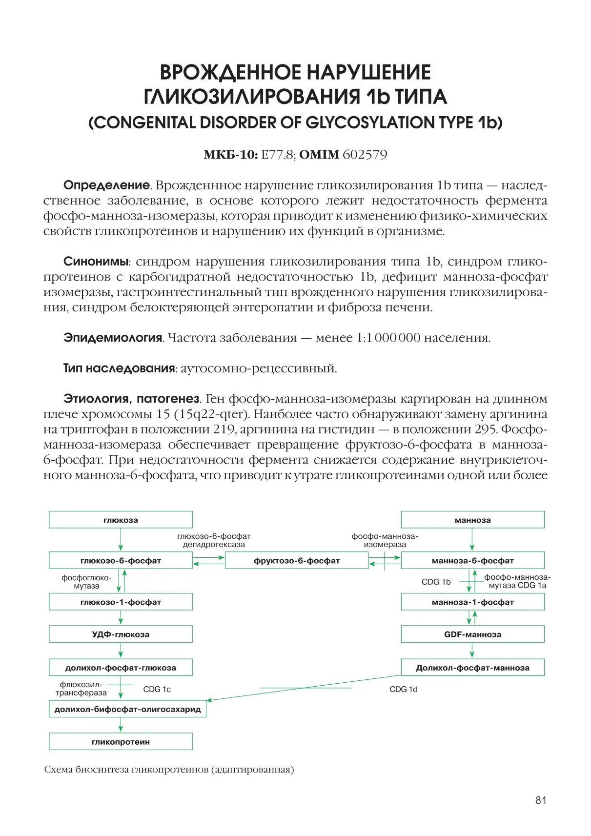 Врожденное нарушение гликозилирования 1b типа