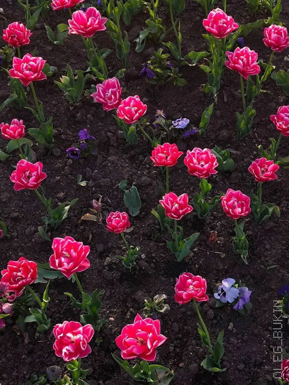 😍 Краски Калининграда