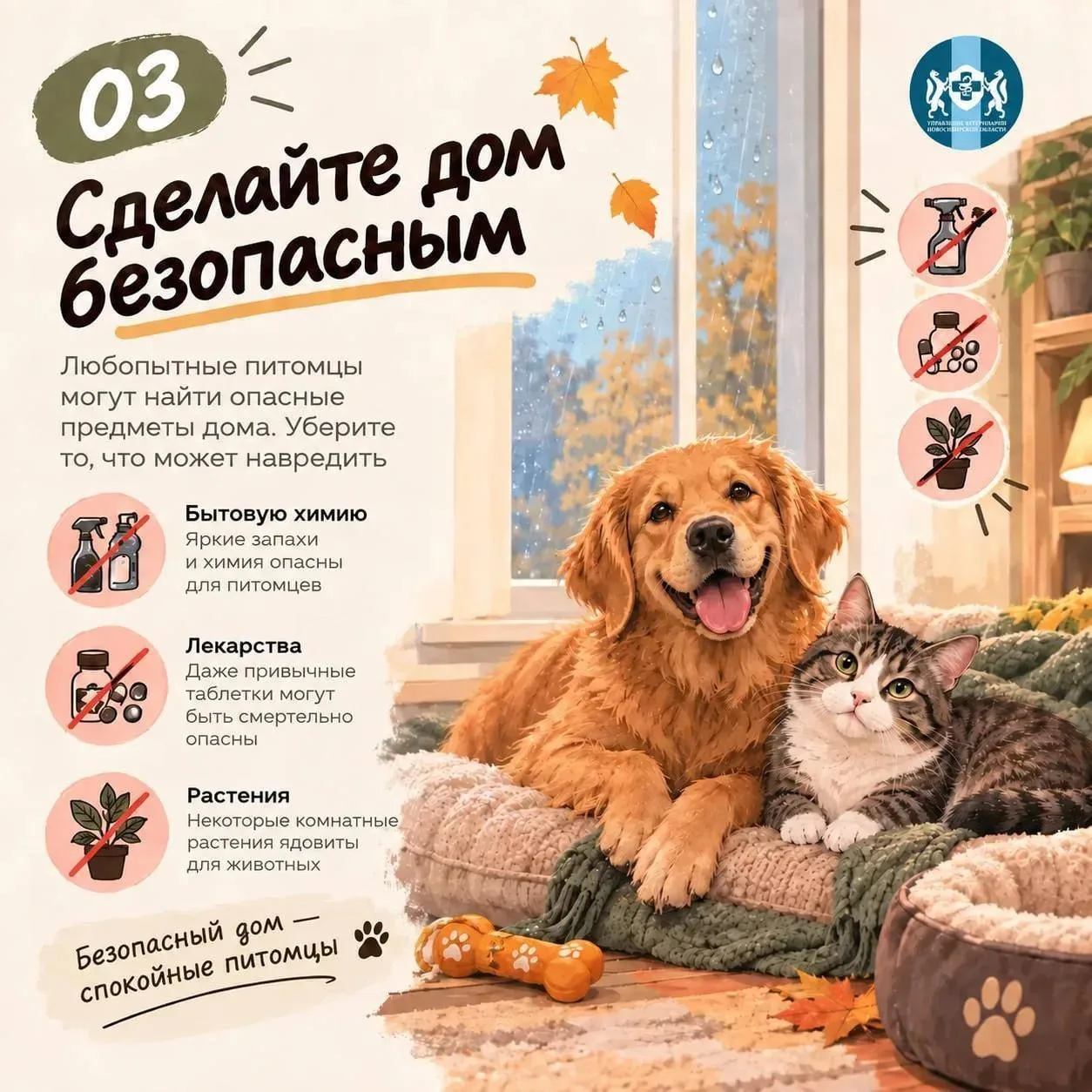 ❗️Новая рубрика – «Ветсовет» ⁣                                                         ...